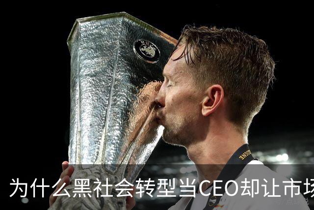 为什么黑社会转型当CEO却让市场更乱了