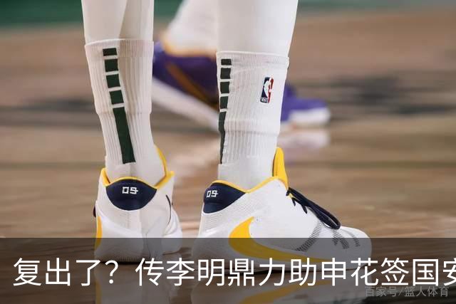 复出了？传李明鼎力助申花签国安边路飞翼，足协禁令成一纸空文？