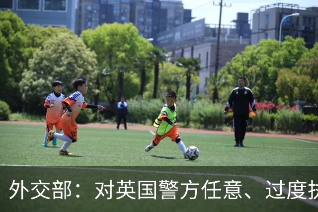 外交部：对英国警方任意、过度执法行为表示强烈不满