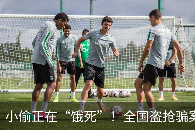 小偷正在“饿死”！全国盗抢骗案件下降38.9%，原因竟不是摄像头