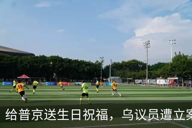 给普京送生日祝福，乌议员遭立案调查