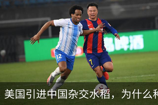 美国引进中国杂交水稻，为什么种出的亩产，反而比中国还要高？