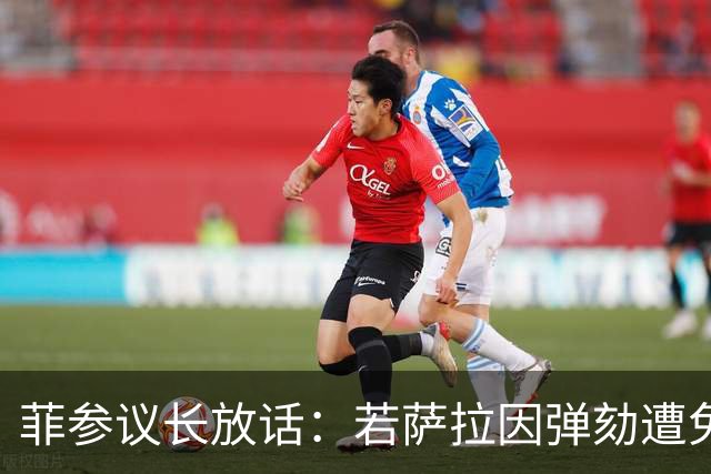 菲参议长放话：若萨拉因弹劾遭免职，将因利益冲突拒绝接任！