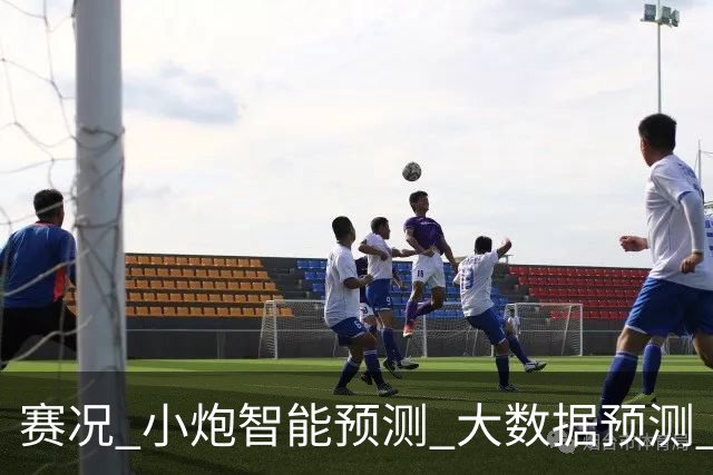 赛况_小炮智能预测_大数据预测_彩票预测-新浪彩通