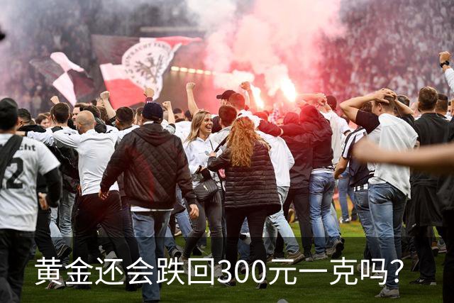 黄金还会跌回300元一克吗？