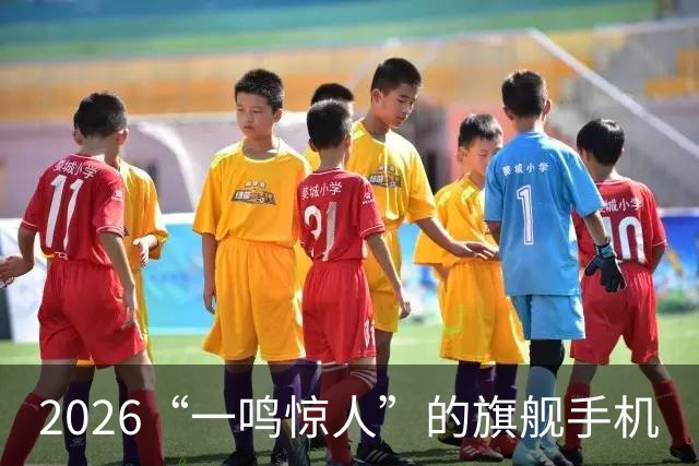 2026“一鸣惊人”的旗舰手机