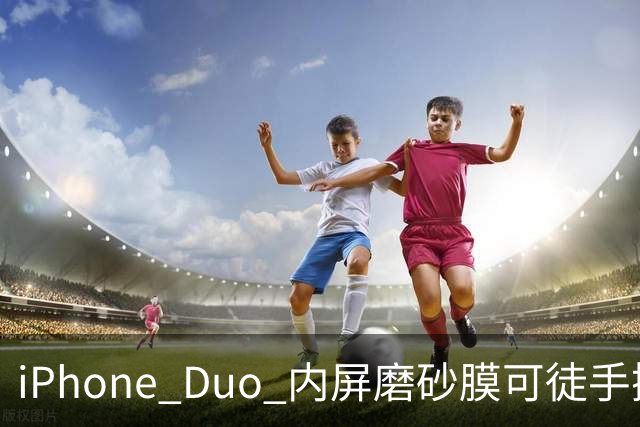 iPhone Duo 内屏磨砂膜可徒手撕下